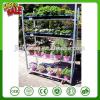 Portable Fruit flower nursery plant exhibition transfer trolley truck Display Storage show Rack move tool cart
