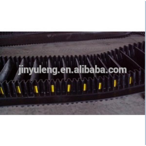 Sidewall Conveyor Belt for Heavy Duty Industry #1 image